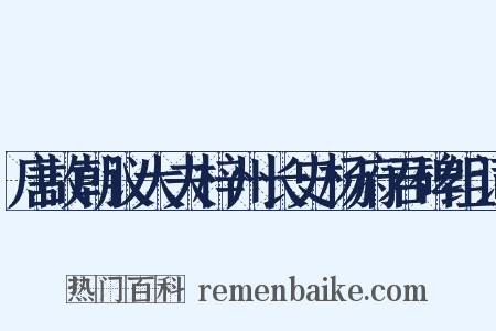 唐故朝议大夫梓州长史杨府君碑组词是什么意思的图片